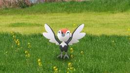 【ポケモンGO】ツツケラ コミュニティデイ攻略ガイド！色違いゲット・特別技習得までやることまとめのサムネイル画像